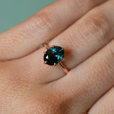 2.61ct Oval Montana Sapphire Lotus Six Prong Solitaire in 14k Rose Gold