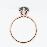 2.61ct Oval Montana Sapphire Lotus Six Prong Solitaire in 14k Rose Gold