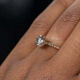 1.11ct Round Salt And Pepper Diamond Evergreen Solitaire in 14k Yellow Gold