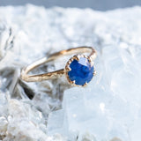 1.31ct Round Sapphire Scallop Cup Solitaire in 14k Yellow Gold