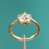 2.02ct Rosecut Champagne Diamond 6-Prong Low Profile Ring with Evergreen Carved Band in 18K Yellow Gold
