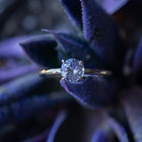 0.99ct Round Lilac Sapphire Evergreen Solitaire Ring in 14k Yellow Gold