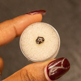 1.03CT SHIELD TANZANIAN SAPPHIRE, PARTI GREEN AND COGNAC, 6.6X5.5X3.7MM, UNTREATED