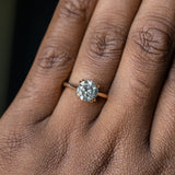 1.76ct Round Salt & Pepper Diamond Hidden Halo Double Prong Solitaire in 14k Yellow Gold