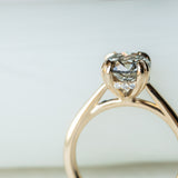 1.76ct Round Salt & Pepper Diamond Hidden Halo Double Prong Solitaire in 14k Yellow Gold