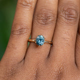 1.59ct Oval Montana Sapphire 6 Prong Evergreen Solitaire in 14K Yellow Gold