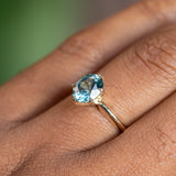 1.59ct Oval Montana Sapphire 6 Prong Evergreen Solitaire in 14K Yellow Gold