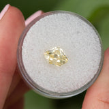 2.34CT SHIELD CUT SAPPHIRE, PARTI WHITE AND YELLOW, 8.34X6.65X5.62MM, UNTREATED