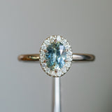 1.08ct Oval Montana Sapphire Halo Ring in 14k White Gold