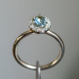 1.08ct Oval Montana Sapphire Halo Ring in 14k White Gold