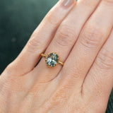 3.03ct Oval Montana Sapphire Scallop Cup Sapphire Solitaire in 18K Yellow Gold on the hand