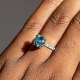 1.65ct Round Montana Sapphire Double Prong French Set Diamond Solitaire in Platinum