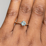 0.95ct Round Montana Sapphire Evergreen Carved Solitaire Ring in 14k Yellow Gold