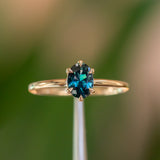 0.86ct Oval Nigerian Sapphire Six Prong Low Profile Ring in 14k Yellow Gold