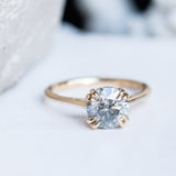 1.75ct Round Salt & Pepper Diamond Hidden Halo Evergreen Carved Solitaire Ring in 14k Yellow Gold