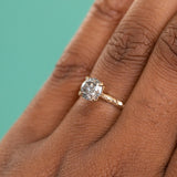 1.09ct Round Salt and Pepper Diamond Evergreen Solitaire in 14k Yellow Gold