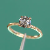 1.09ct Round Salt and Pepper Diamond Evergreen Solitaire in 14k Yellow Gold
