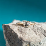 1.09ct Round Salt and Pepper Diamond Evergreen Solitaire in 14k Yellow Gold