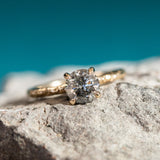 1.09ct Round Salt and Pepper Diamond Evergreen Solitaire in 14k Yellow Gold