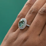 3.60ct Oval Montana Sapphire and Double Diamond Halo in 14K White Gold