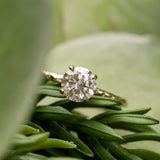 1.25ct Round Grey Diamond Evergreen Solitaire in 18k Yellow Gold