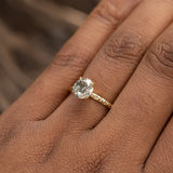 1.25ct Round Grey Diamond Evergreen Solitaire in 18k Yellow Gold