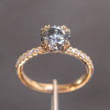 1.63ct Round Salt & Pepper Diamond Double Claw Prong Solitaire with French Diamonds in 14k Yellow Gold