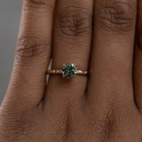 1.19ct Round Earth Colored Sapphire Evergreen Carved 4 Prong Solitaire in 14k Yellow Gold