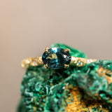 0.85ct Oval Sapphire in 14k Yellow Gold Evergreen Solitaire with Scattered Embedded Diamonds