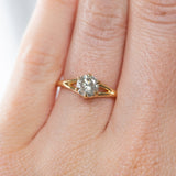 0.81ct Salt and Pepper Diamond Six Prong Split Shank Ring In 18k Yellow Gold