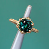 3.03ct Round Deep Teal Sapphire Scallop Cup Solitaire in Satin 18k Yellow Gold