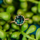 3.03ct Round Deep Teal Sapphire Scallop Cup Solitaire in Satin 18k Yellow Gold