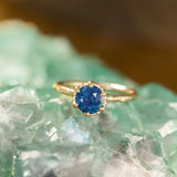 1.31ct Round Sapphire Scallop Cup Solitaire in 14k Yellow Gold