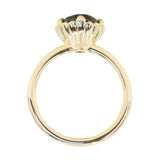 3.17ct Teal Oval Madagascar Sapphire Scallop Cup Sapphire Solitaire in 14K Yellow Gold