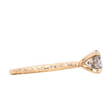 1.09ct Round Salt and Pepper Diamond Evergreen Solitaire in 14k Yellow Gold