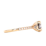 1.63ct Round Salt & Pepper Diamond Double Claw Prong Solitaire with French Diamonds in 14k Yellow Gold