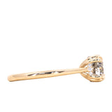 1.76ct Round Salt & Pepper Diamond Hidden Halo Double Prong Solitaire in 14k Yellow Gold