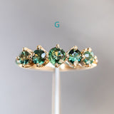 Five Stone Sapphire Bands in 14K and 18k Yellow Gold