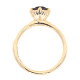 1.31ct Round Sapphire Scallop Cup Solitaire in 14k Yellow Gold