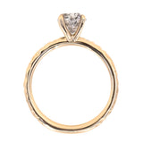 1.01ct Round Salt And Pepper Diamond Evergreen Solitaire in 14k Yellow Gold