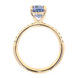 2.44ct Oval Madagascar Sapphire with French Set Montana Sapphires and Salt & Pepper Diamond Solitaire in 14k Yellow Gold