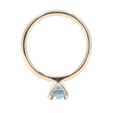 0.95ct Round Montana Sapphire Classic 4 Prong Solitaire in 14k Yellow Gold