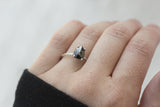 Rosecut black diamond ring in white gold by Anueva Jewelry