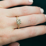 1.73ct Champagne Diamond Solitaire in Evergreen Carved Recycled Yellow Gold