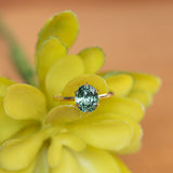 3.18ct Oval Sapphire Lotus Six Prongs Solitaire In 18k Yellow Gold