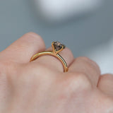 1.53ct Round Salt And Pepper Diamond Solitaire in 18k Yellow Gold