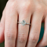 1.46ct Round Champagne Diamond Six Prong Split Shank Solitaire in 14k Yellow Gold