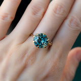 6.84ct GIA Round Montana Sapphire Six Prong Split Shank Solitaire in 18k Yellow Gold
