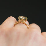 5.03ct Round Grey Green Champagne Brilliant Diamond in Yellow Gold Six Prong Setting