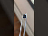 0.95CT OVAL NIGERIAN SAPPHIRE, OCEAN BLUE, 6.94X4.94X3.48MM, UNTREATED
